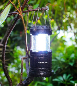 Lanterne en branche avec LED